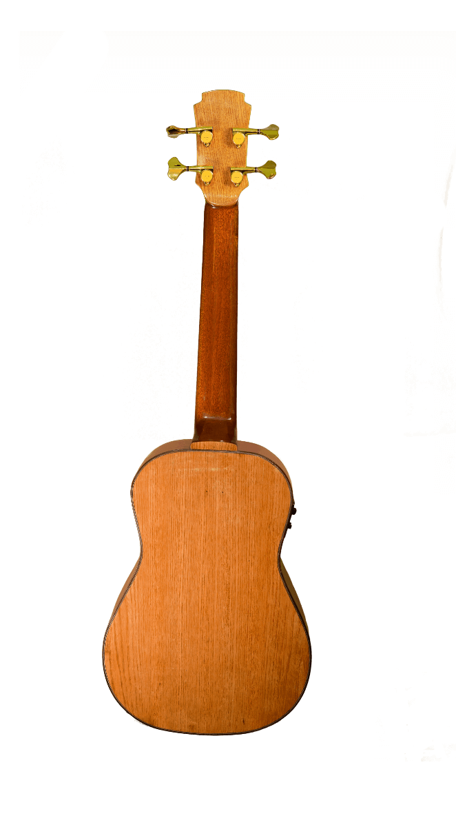 Mini Bass Bronce