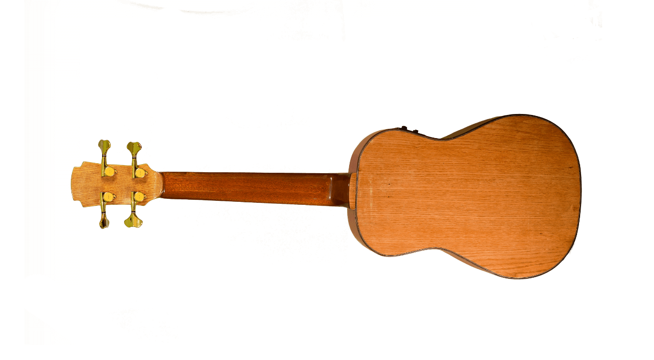 Mini Bass Bronce