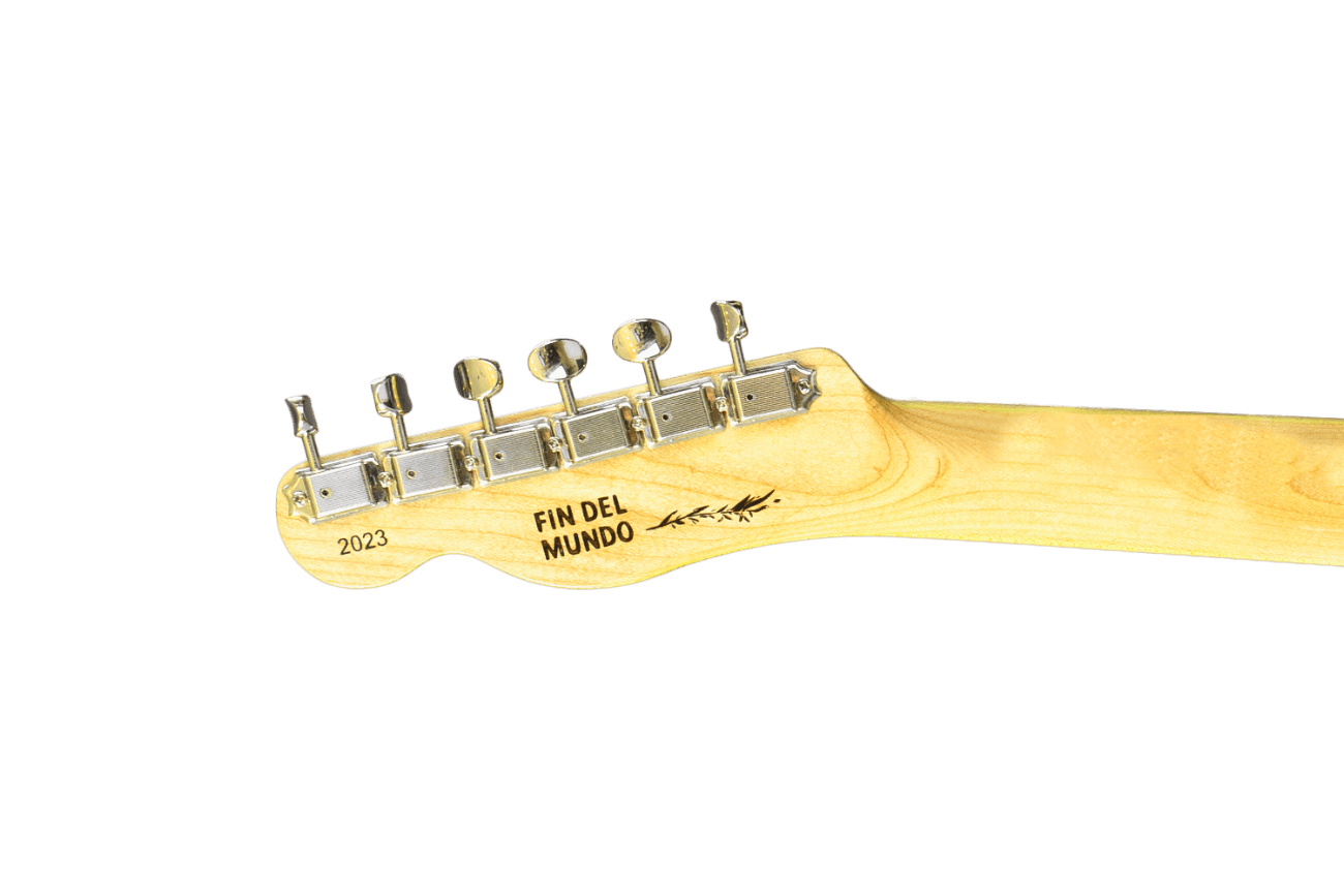 Telemaster Fin Del Mundo